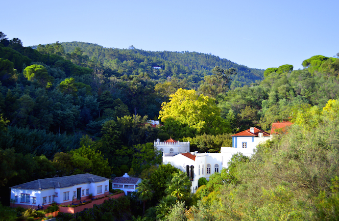 Ontspannen in Caldas de Monchique Kuuroord Algarve 