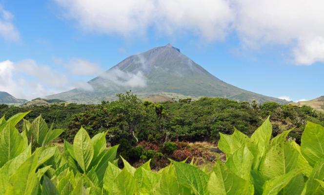 Ponta do Pico