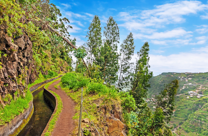 Madeira natuurparken