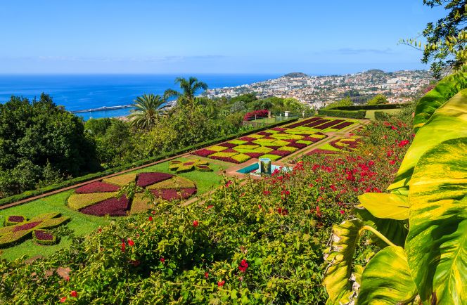 Tuinen en parken Madeira