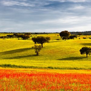 Alentejo landschap Portugal