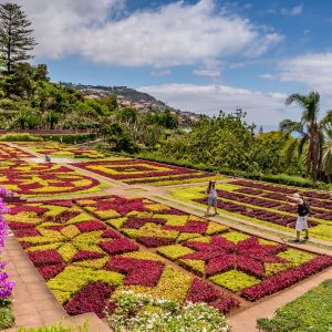 Funchal Madeira Tuinen