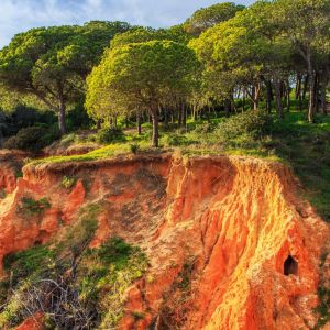 Rondreis Lissabon naar de Algarve via Alentejo kust 12