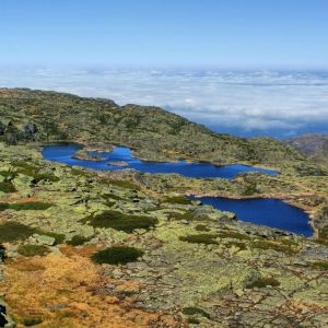 Rondreis Portugal Natuur en Cultuur 14