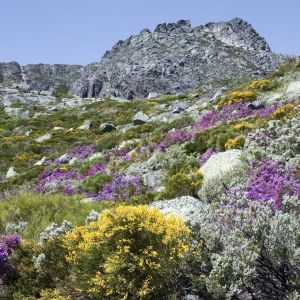 Rondreis Portugal Natuur en Cultuur 18