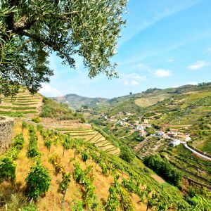 Peso da Regua Douro Noord Portugal