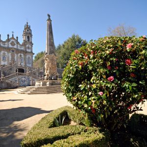 Lamego tuin