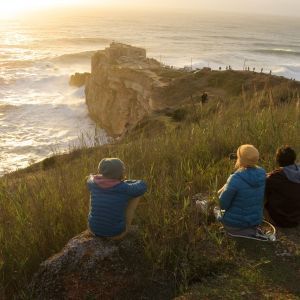 Nazaré surf competitie bekijken