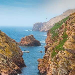 Berlengas eilanden Peniche Portugal