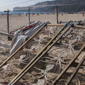 Nazaré Octopus drogen in zon