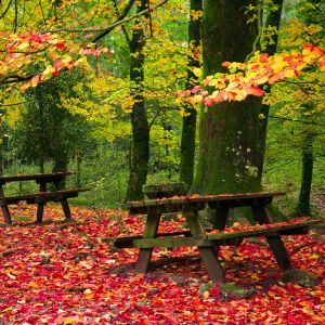 Geres Portugal herfst