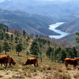 Peneda-Gerês Nationaal Park