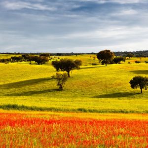 Alentejo Reizen en Vakantie