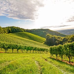 Noord Portugal Reizen en Vakanties