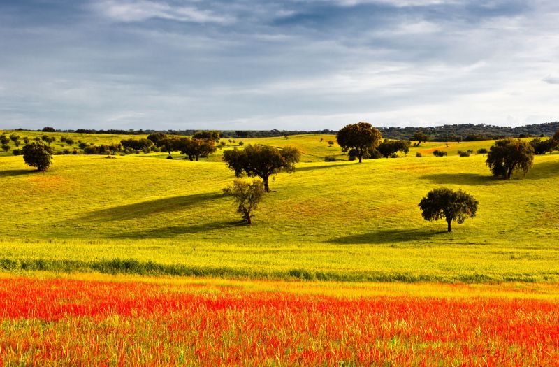 Alentejo